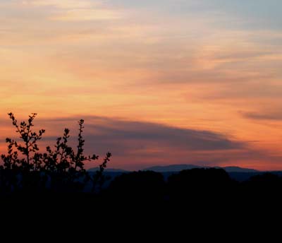 cielos370.jpg