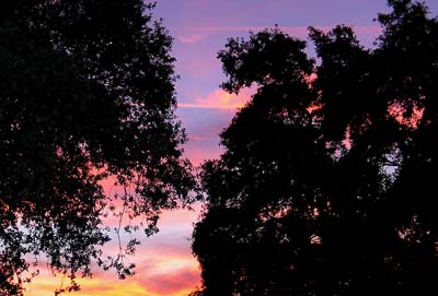 cielos401.jpg