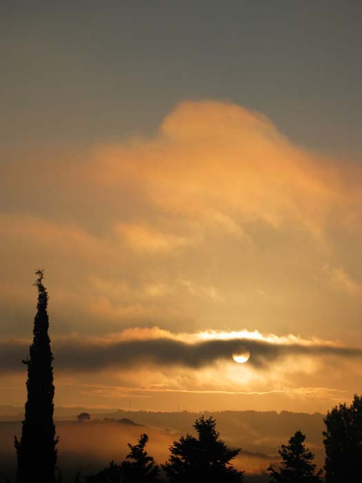 cielos447.jpg
