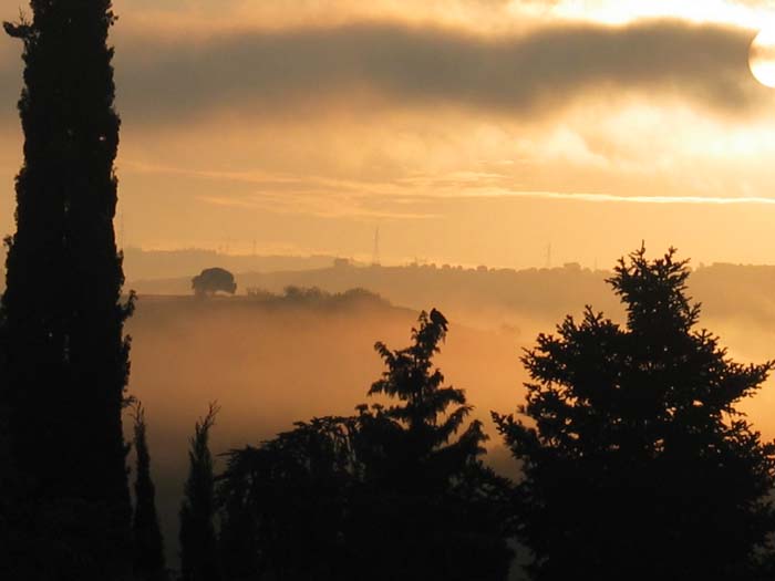 cielos449.jpg
