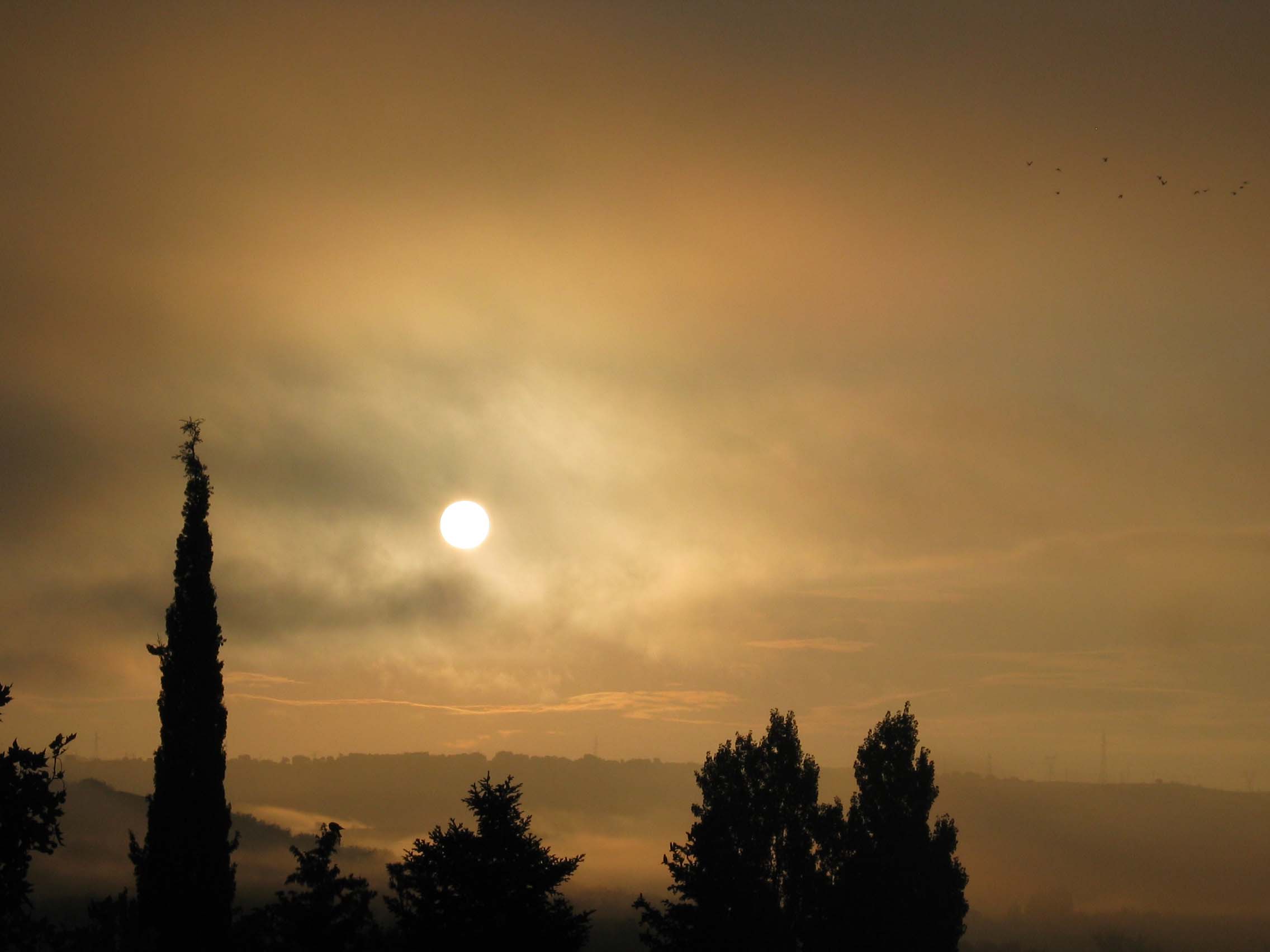 cielos459.jpg