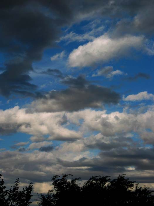cielos461.jpg