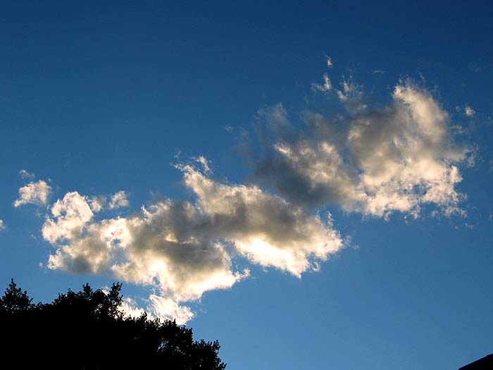 cielos471.jpg