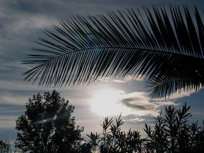 cielos499.jpg