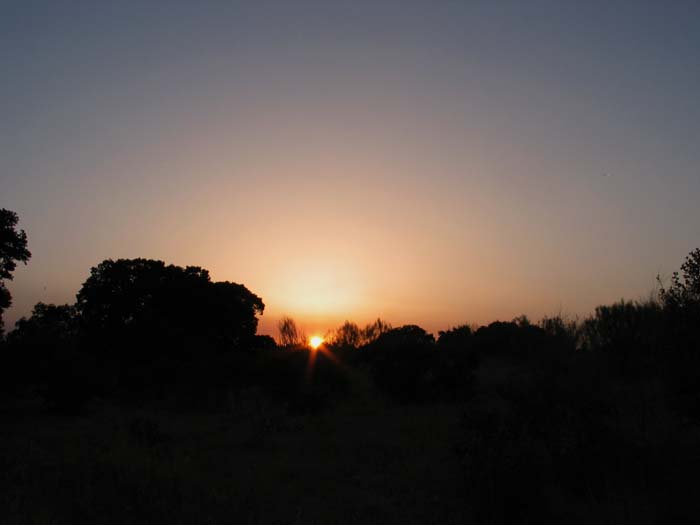cielos503.jpg