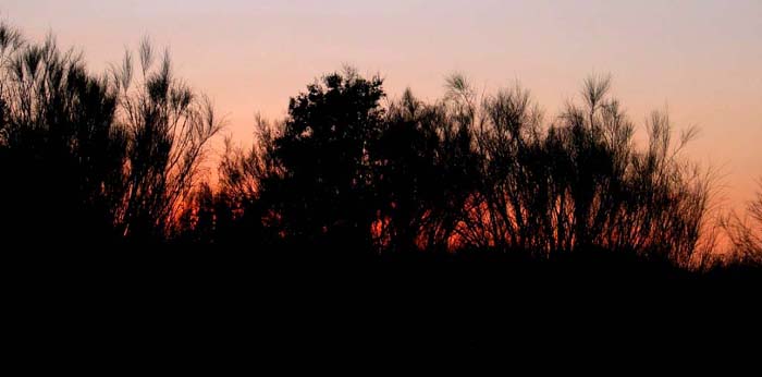cielos504.jpg
