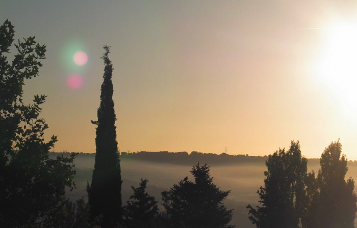 cielos508.jpg