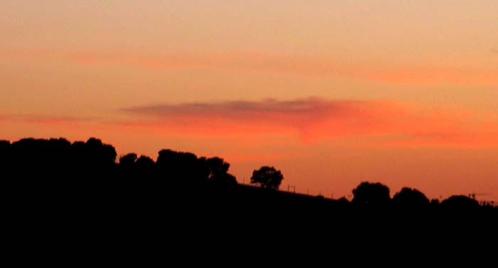 cielos526.jpg