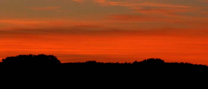 cielos527.jpg