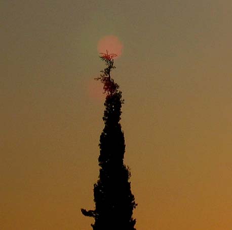 cielos533.jpg