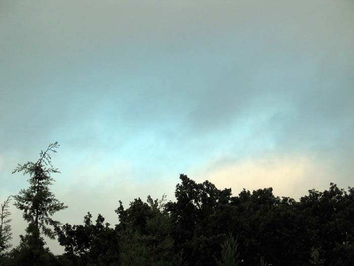 cielos536.jpg
