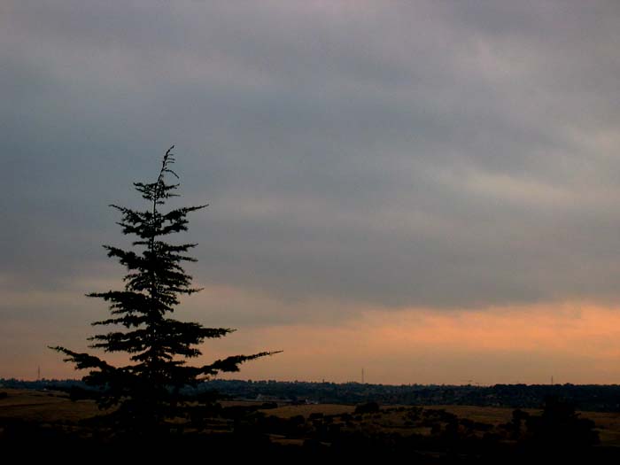 cielos538.jpg
