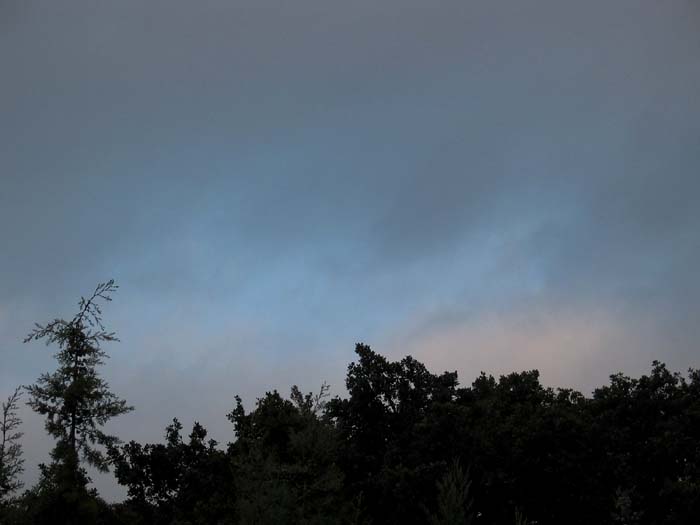 cielos539.jpg