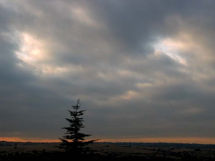 cielos540.jpg