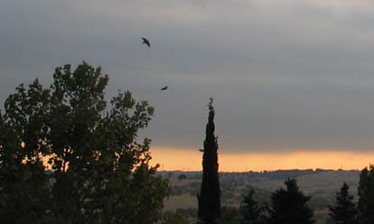 cielos543.jpg