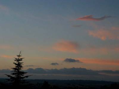 cielos562.jpg