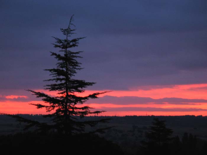 cielos576.jpg