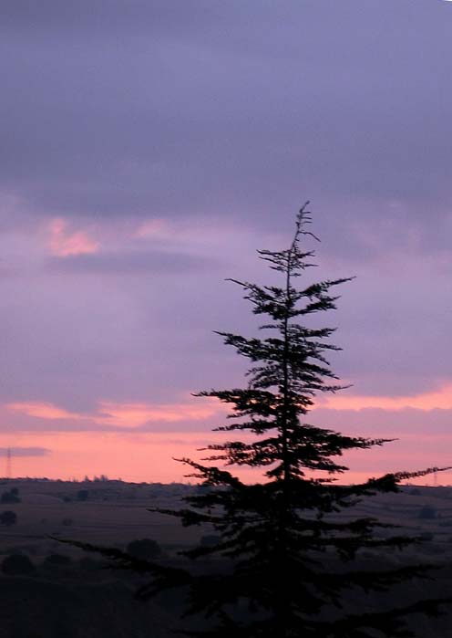 cielos580.jpg