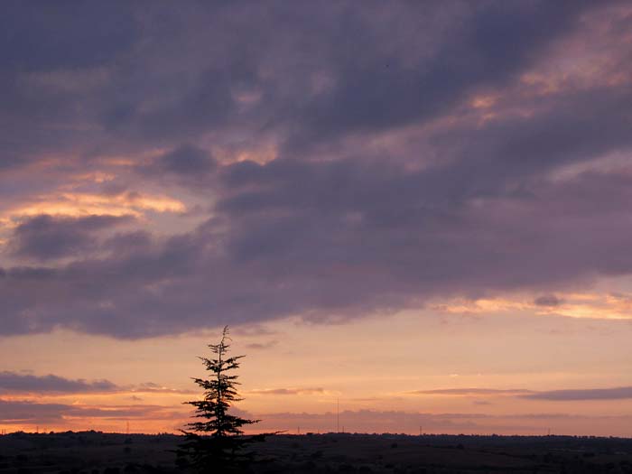cielos586.jpg