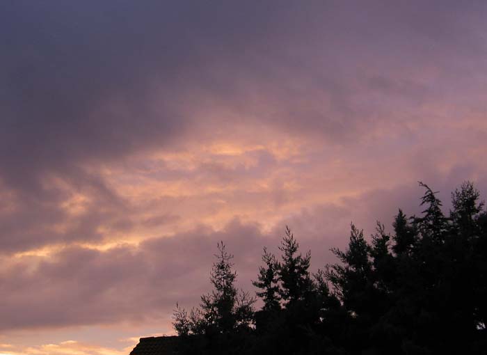 cielos589.jpg