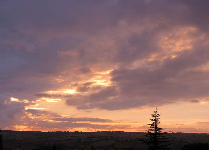 cielos590.jpg