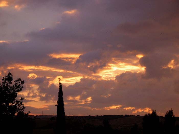 cielos592.jpg