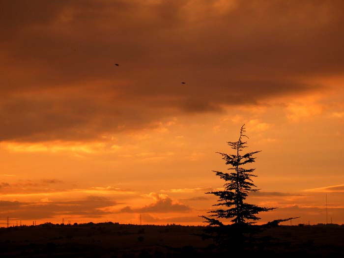 cielos594.jpg