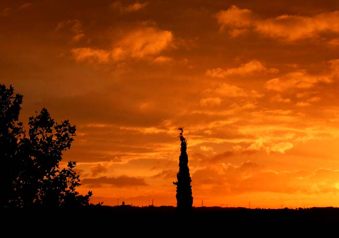 cielos600.jpg