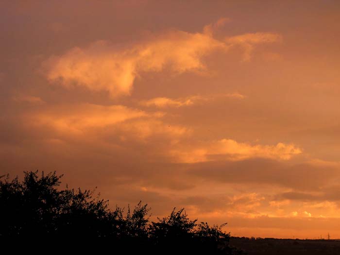 cielos601.jpg