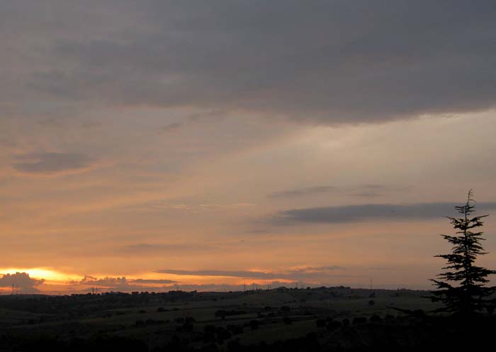 cielos603.jpg