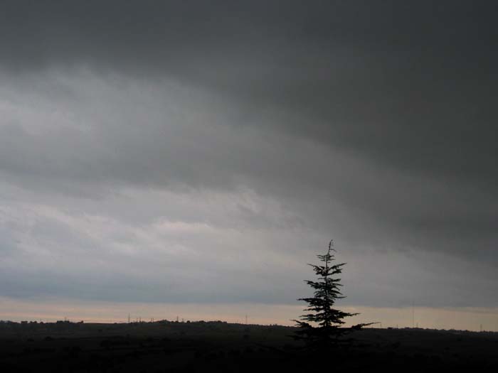 cielos630.jpg
