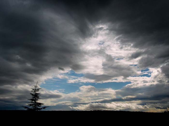 cielos631.jpg