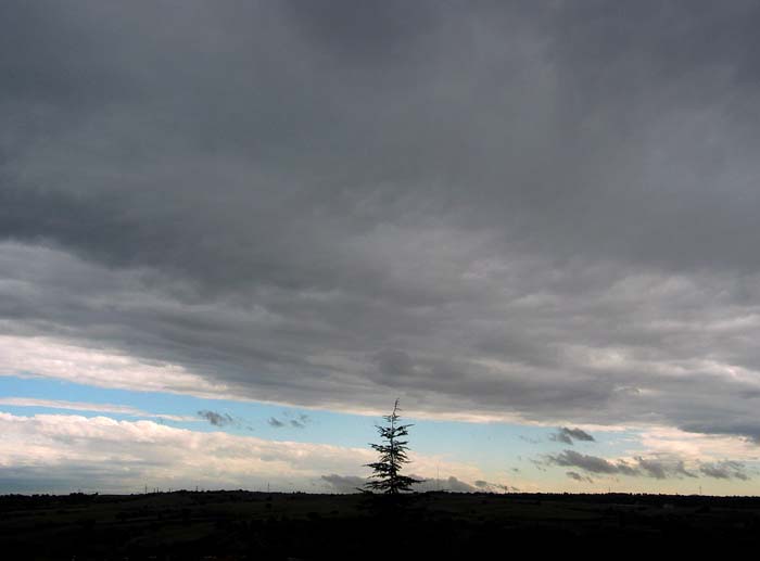 cielos634.jpg