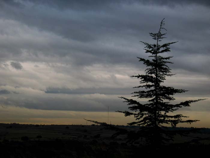cielos635.jpg
