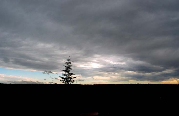 cielos636.jpg