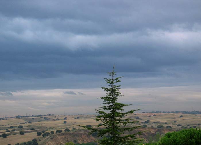 cielos644.jpg