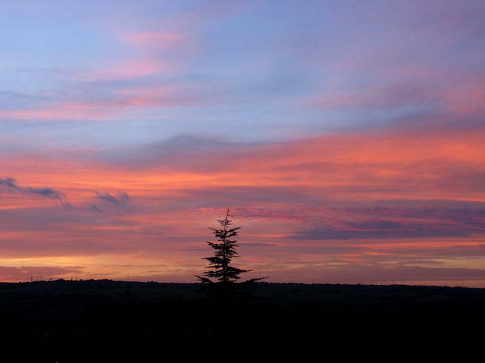 cielos645.jpg