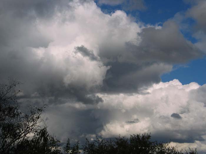 cielos648.jpg
