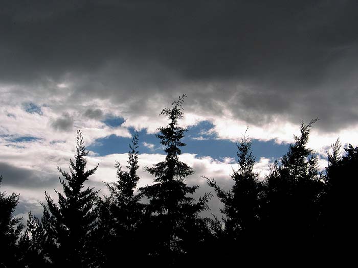 cielos650.jpg