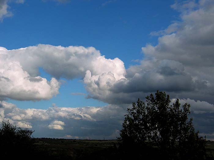 cielos653.jpg