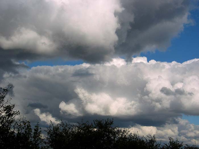 cielos655.jpg