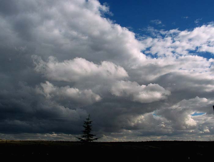 cielos656.jpg