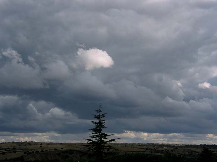 cielos658.jpg