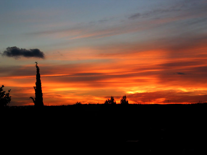 cielos669.jpg