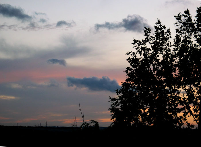 cielos672.jpg