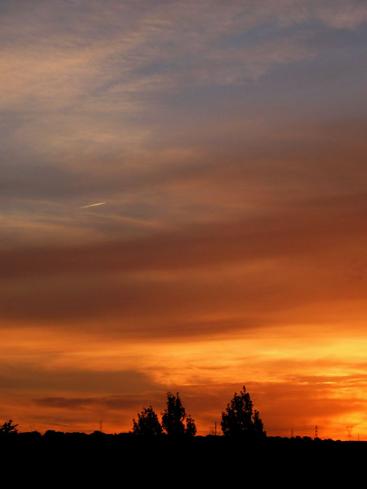 cielos675.jpg