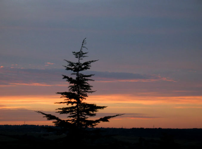 cielos676.jpg