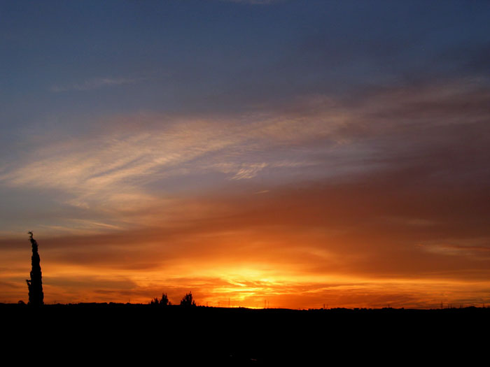 cielos677.jpg
