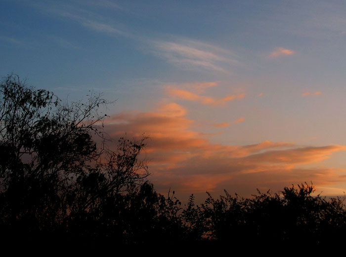 cielos679.jpg