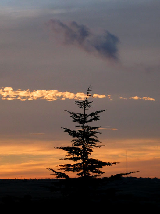 cielos680.jpg